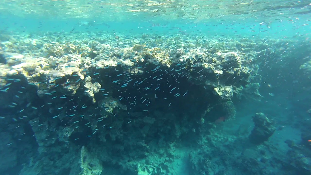 Club El Faraana Reef 4* Ras Um El Sid. Egypt