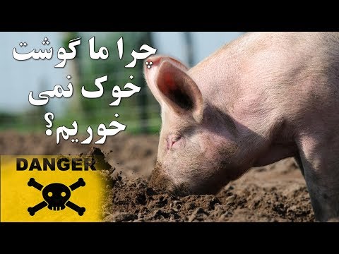 تصویری: پیت جگر گوشت خوک