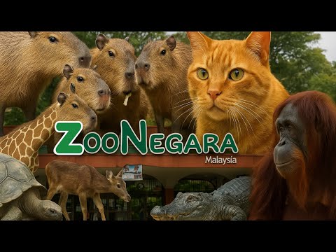 Jalan-Jalan Di Zoo Negara | National Zoo of Malaysia | Oyen & Capybara ( Full Tour )#capybara #oyen