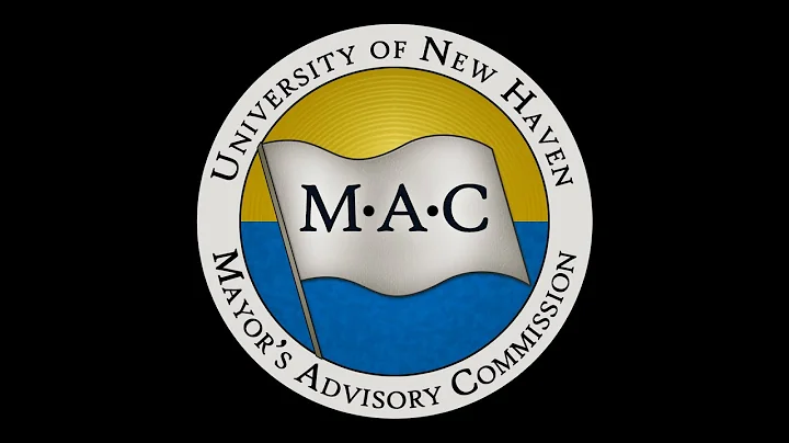 Mayor Nancy R. Rossi ARPA Town Hall Meeting 02-15-...