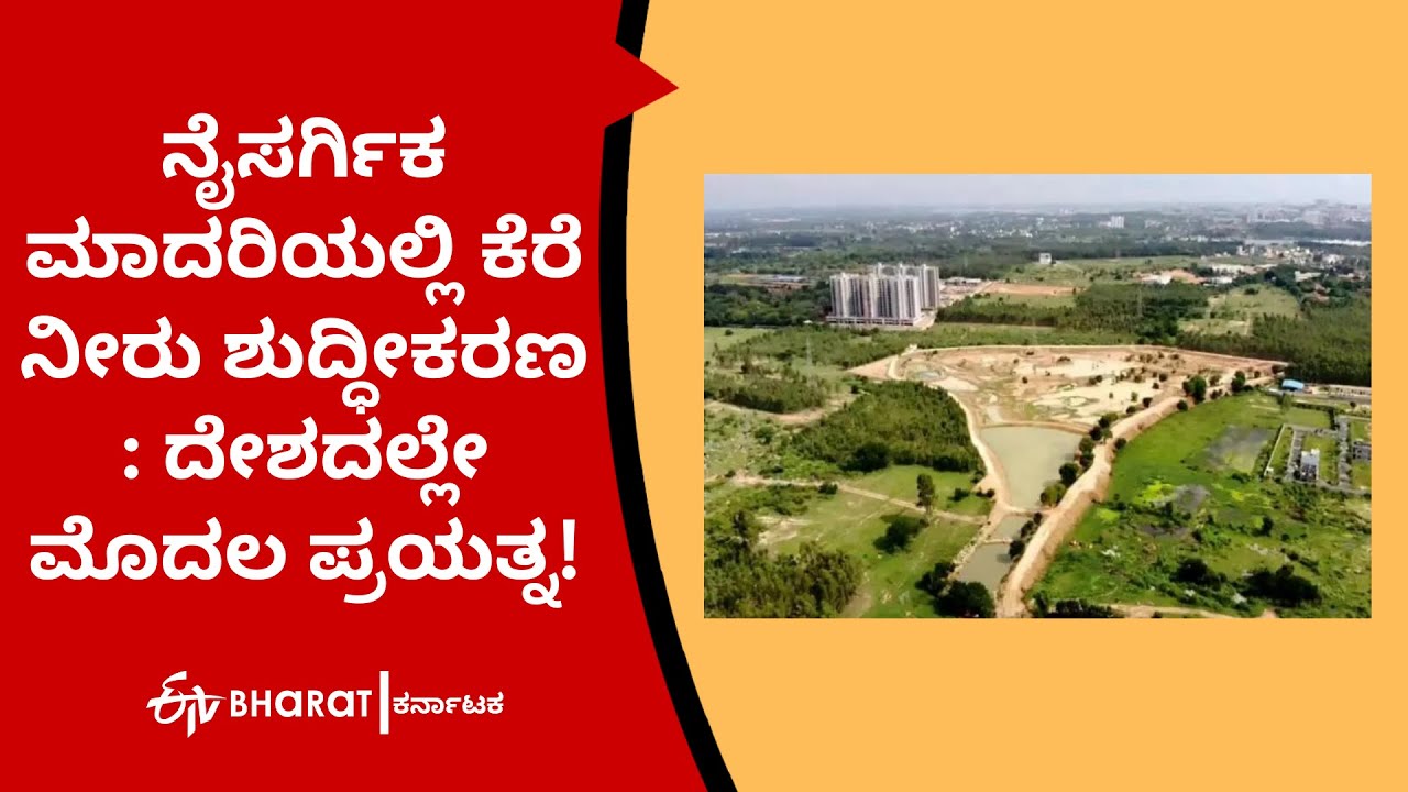 Lake water purification in a natural model in Bangalore YouTube