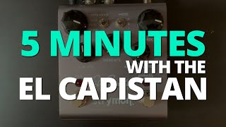 5 Minutes With The Strymon El Capistan Delay -- Pedal Demo