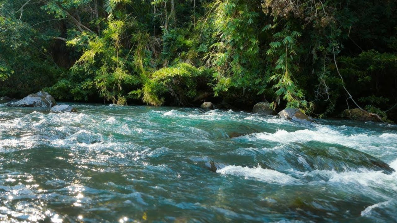 NATURAL AMBIENT SOUNDSCAPES FOR ANXIETY RELIEF