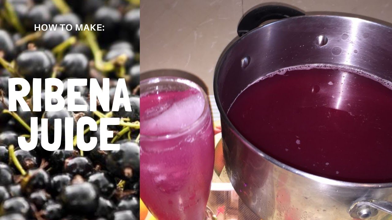 How to make RIBENA JUICE YouTube