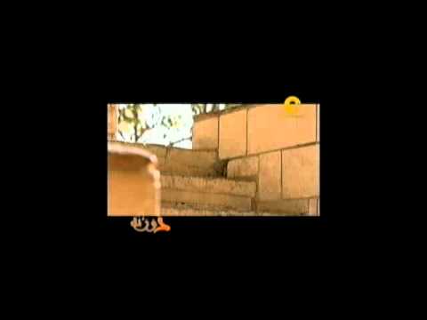 فريق بساطة فى برنامج دوزنة