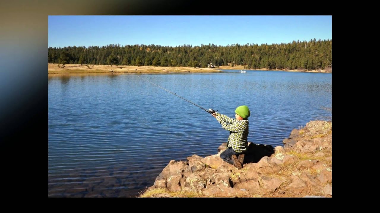 Trout Fishing at Hawley Lake, Arizona White Mountains YouTube