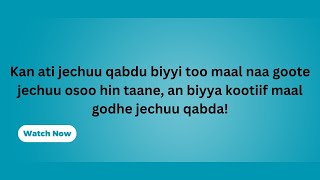Daaniin Maaliif Akka Hafan Dubbate.daanii Fi Tsiggee Live Irratti Icciitiin Isaanii Bahe.