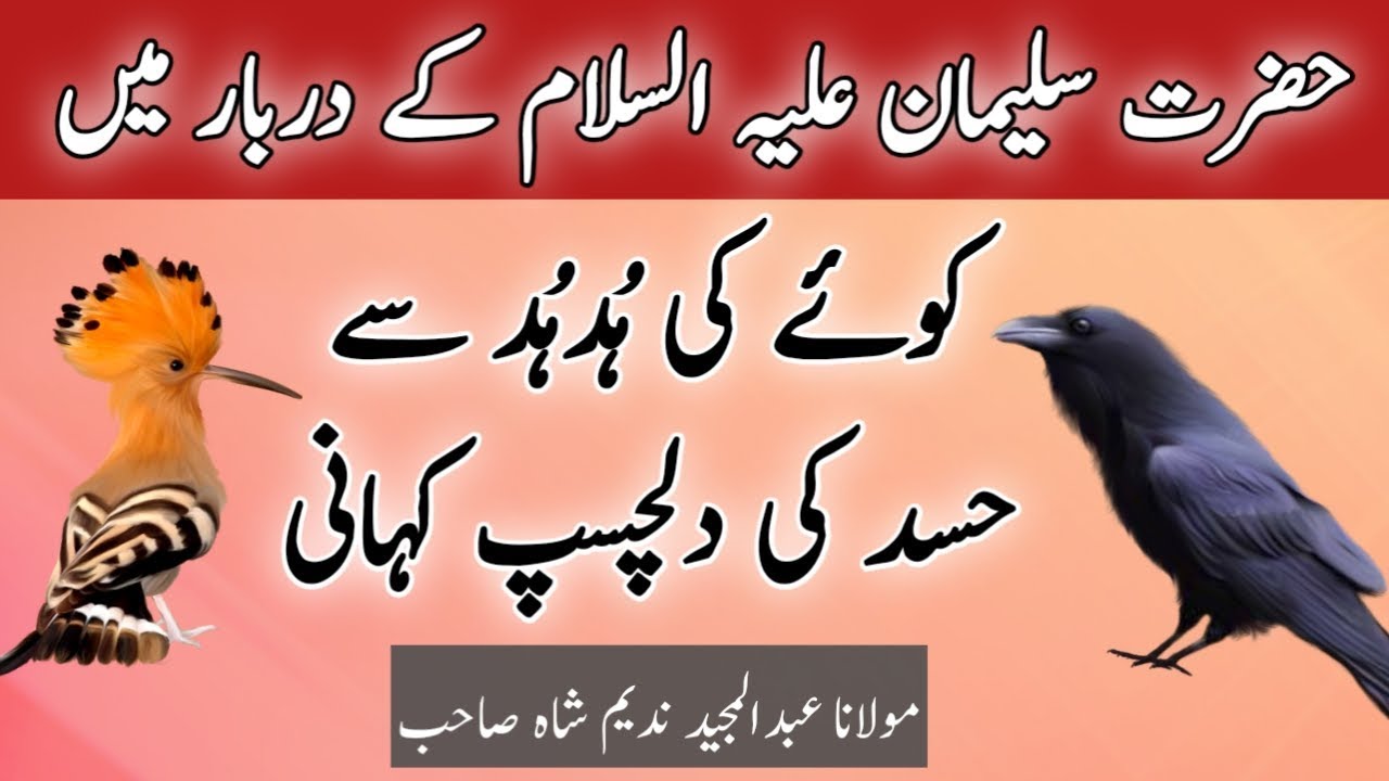 Hazrat Suleman AS ke Darbar Mein Hud Hud Aur Kaway ka Waqia Crow and