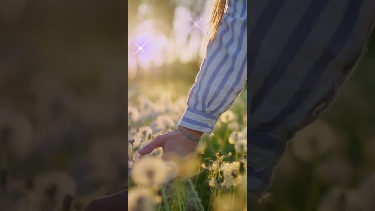 What Happens Next Changes Your Destiny Forever by Rose Burnett | DAILY INSPIRATION