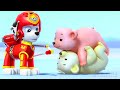 La Pat Patrouille Sauve Les Oursons Les Plus Mignons Pat Patrouille Extrait VF 