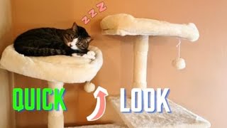 Feandrea Cat Tree | Trendroid Reviews