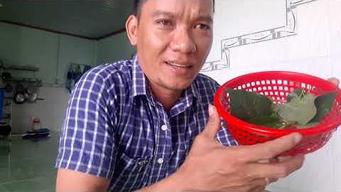 Cách trị đau răng, sâu răng , ê buốt chân răng tại nhà rất đơn giản