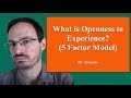 What is Openness to Experience?