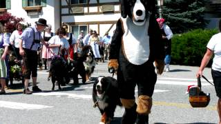 Maifest 2012 Leavenworth Washington.mov