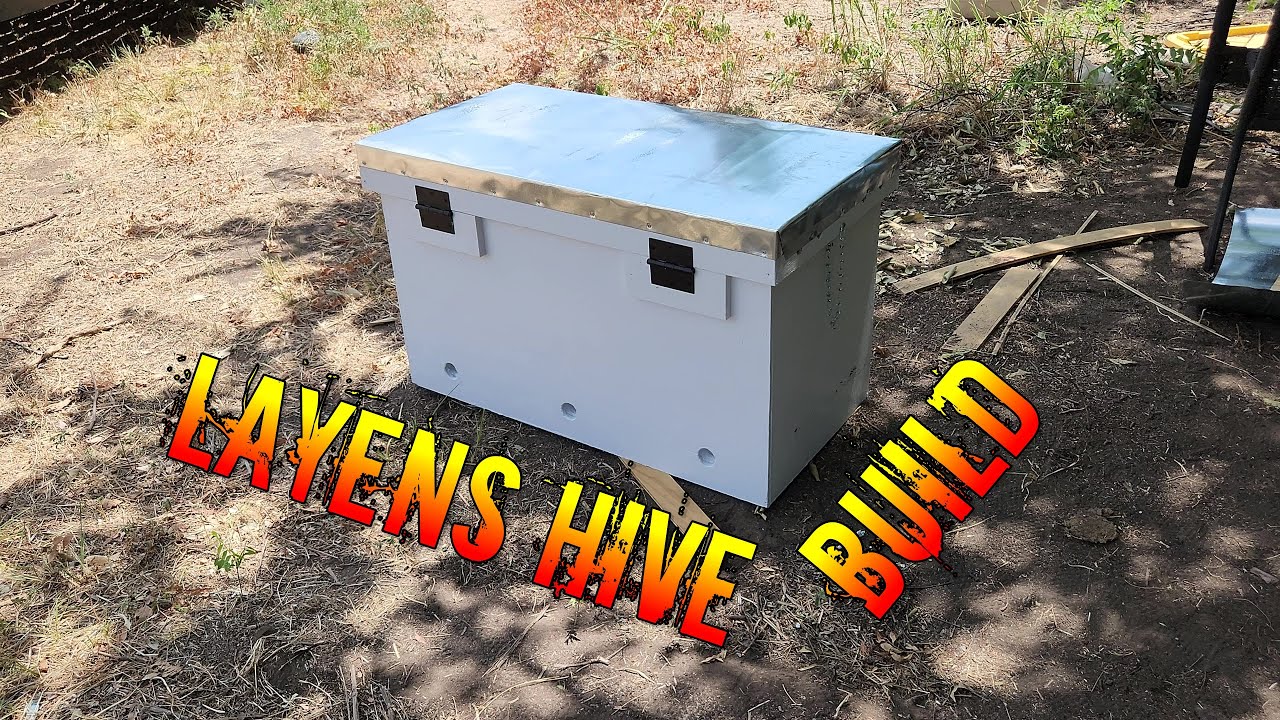 Building My First Dr. Leo Sharashkin's Layens Beehive