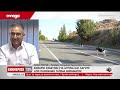Εντάσεις μεταξύ κυνηγών: Παράνομες ταΐστρες στο βουνό απειλούν ζώα αλλά και ανθρώπους