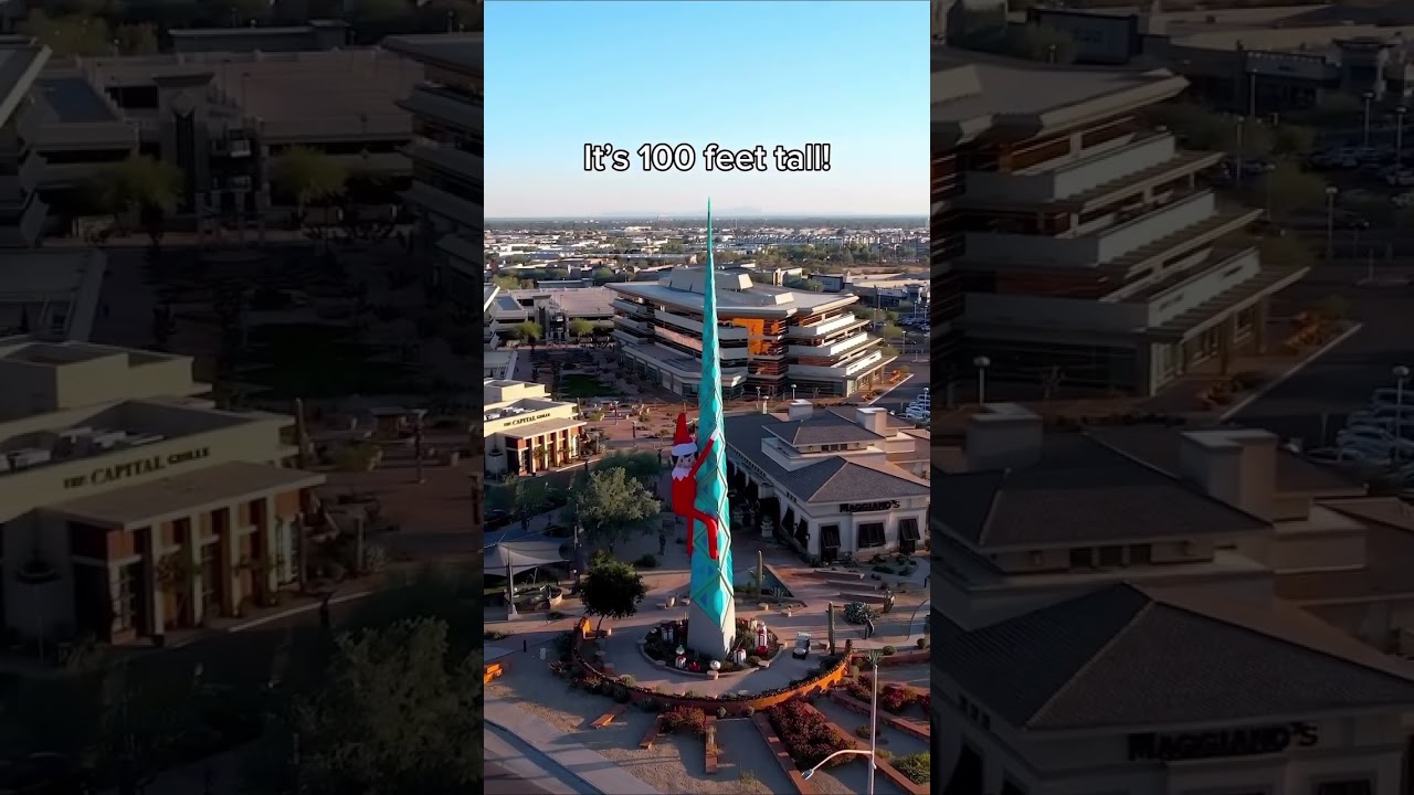 What Christmas in Arizona Looks Like 