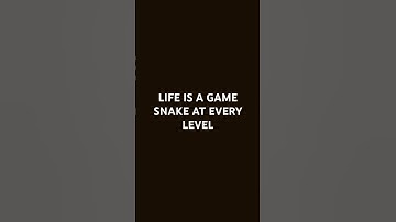 Life is a game ..