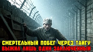 картинка: Смертельный побег из усть-ордынской тайги через Сибирскую глушь