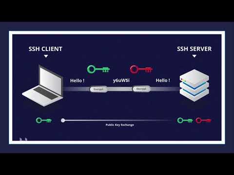 Top Cybersecurity Expert Reveals BEST SSH Techniques | BM Infotrade Pvt. Ltd.