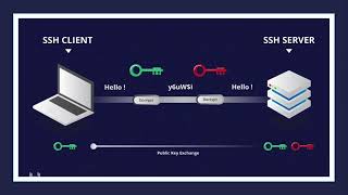 Top Cybersecurity Expert Reveals BEST SSH Techniques | BM Infotrade Pvt. Ltd.