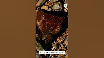 Can Satellite See Minerals? #MineralExploration #RemoteSensing #MiningInnovation #Geoscience