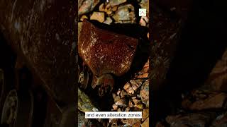 Can Satellite See Minerals? #MineralExploration #RemoteSensing #MiningInnovation #Geoscience