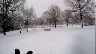 Sledding in Malden after March 8 snowstorm