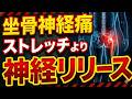 【坐骨神経痛 改善】9割の坐骨神経痛はストレッチより神経リリース!