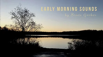 Early Morning Sounds - Birds Singing