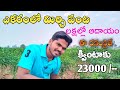 మిర్చి తోట వివరాలు || తేజ రకం మిర్చి పంట || ఎ మందుల వాడితే రోగాలు రాకుండా ఉంటాయి..|| #mirchithota