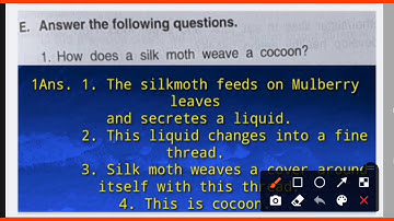 DAV, Class -4 , Sci, Part E of Lesson-6 , Insects