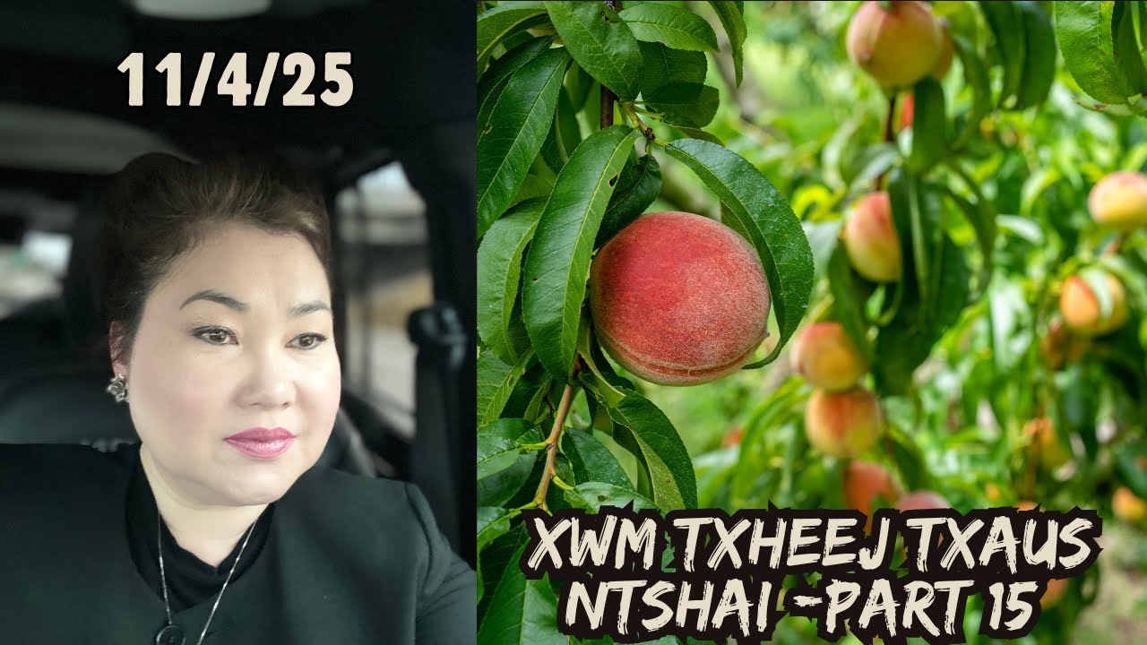 Xwm Txheej Txaus Ntshai Part 15 #Dabneeghmoob