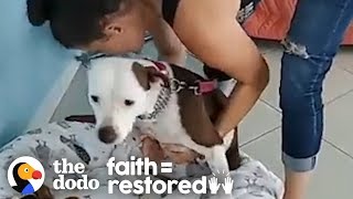 This Dog Was So Scared She Had To Be Carried Everywhere | The Dodo Faith = Restored