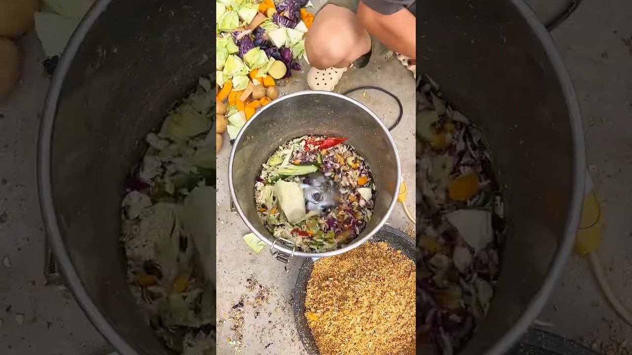 Stainless steel dual-shaft feed machine 