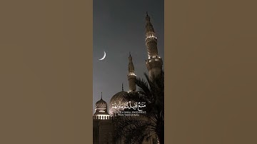 سورة آل عمران {الآية 196} بصوت الشيخ أحمد السعيد ❤️💖