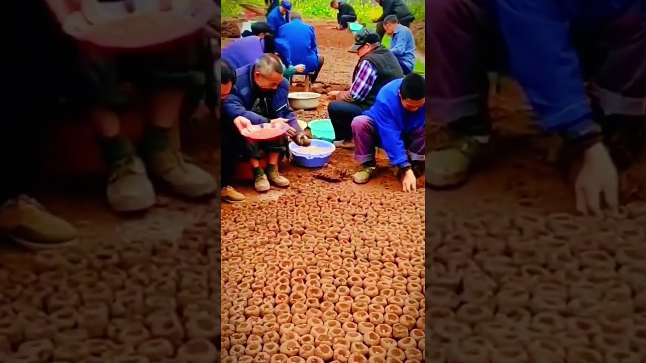 unique way to grow onion seeds 