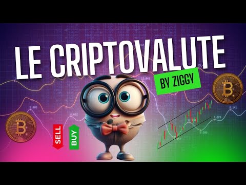 Ziggy'Academy: cosa sono le criptovaulte?