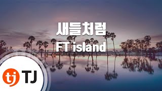 Like The Birds 새들처럼 FT island TJ노래방 Karaoke/lyrics/romanization/KOREAN YouTube