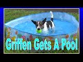 Griffen gets a Pool! And a new Red Ball.