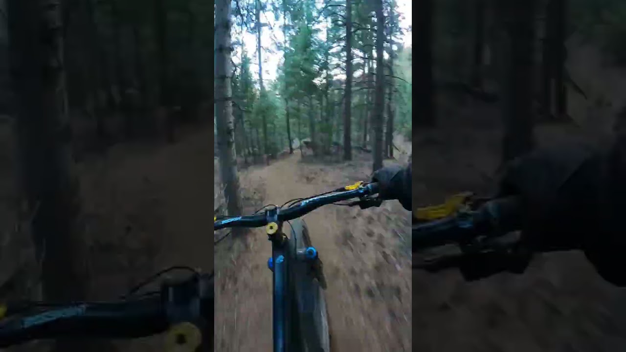 This is how we ride bikes in Colorado.