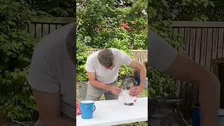 Flash Fire Pitfire Refire