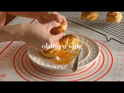 [vlog] 일상 브이로그 | 노브랜드 비스킷 만들기 | 아이스크림 와플 만들기 | 일상기록