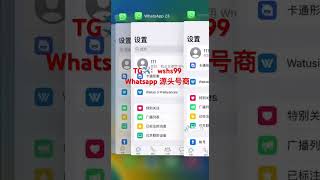 纸飞机✈️：wshs99 WhatsApp号商 ws协议号 WhatsApp劫持号 购买 WhatsApp获客引流