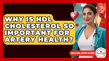 Why Is HDL Cholesterol So Important For Artery Health? - Cholesterol Support Network