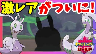 ポケモンソードシールド 激レアヌメルゴンついにきたー ヌメラ ヌメイル ヌメルゴン Youtube