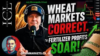 Wheat markets in correction mode. Fertilizer profits soar!