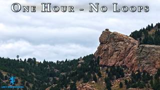 Custer State Park of South Dakota & More! | Fantasy Soundtrack & Cinematic Video
