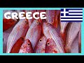 GREECE: Iconic fish market 🐟🐟, island of SALAMINA, let's go!