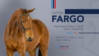 Download Lagu LOT 12 CAPITAL FARGO (Capital Figaro x Capital Kronos x Rendement) MP3